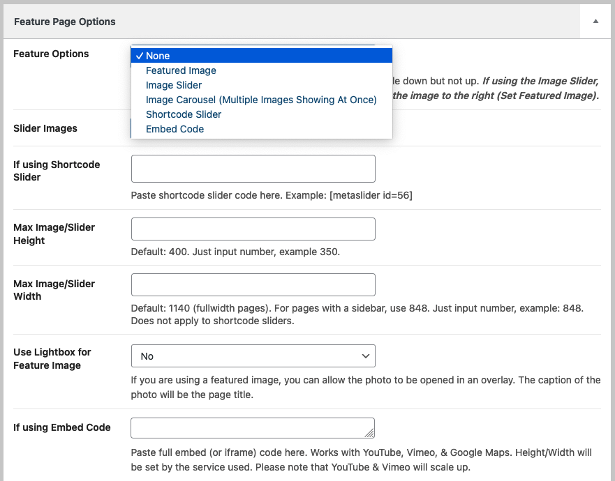 Feature Page Template Options Feature Page Template Options